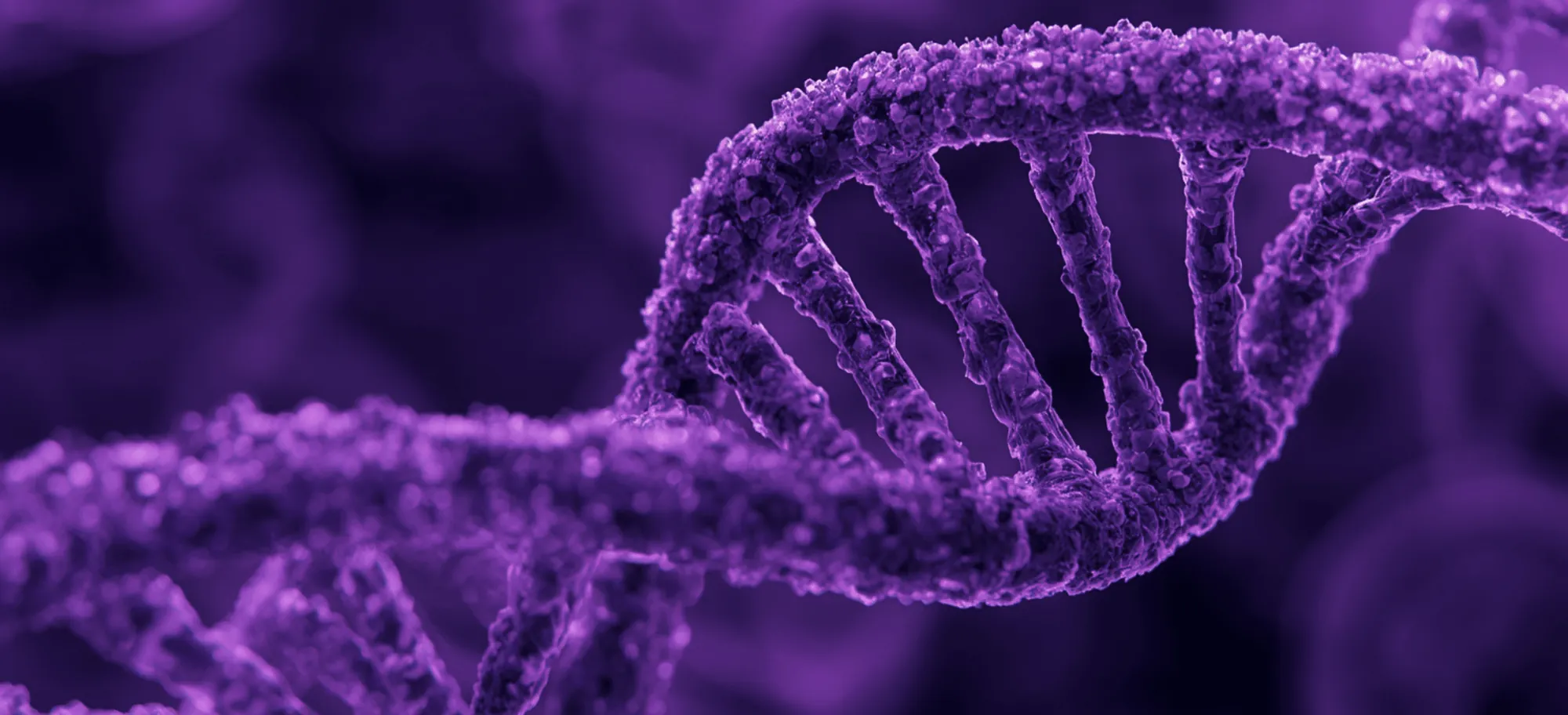 Double hélice d’ADN en teinte violette, évoquant l’analyse des signaux biomédicaux