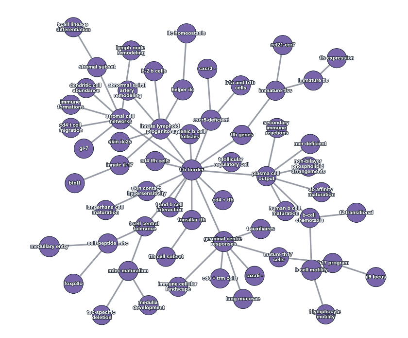 Graphe de connaissance sur l’immunothérapie